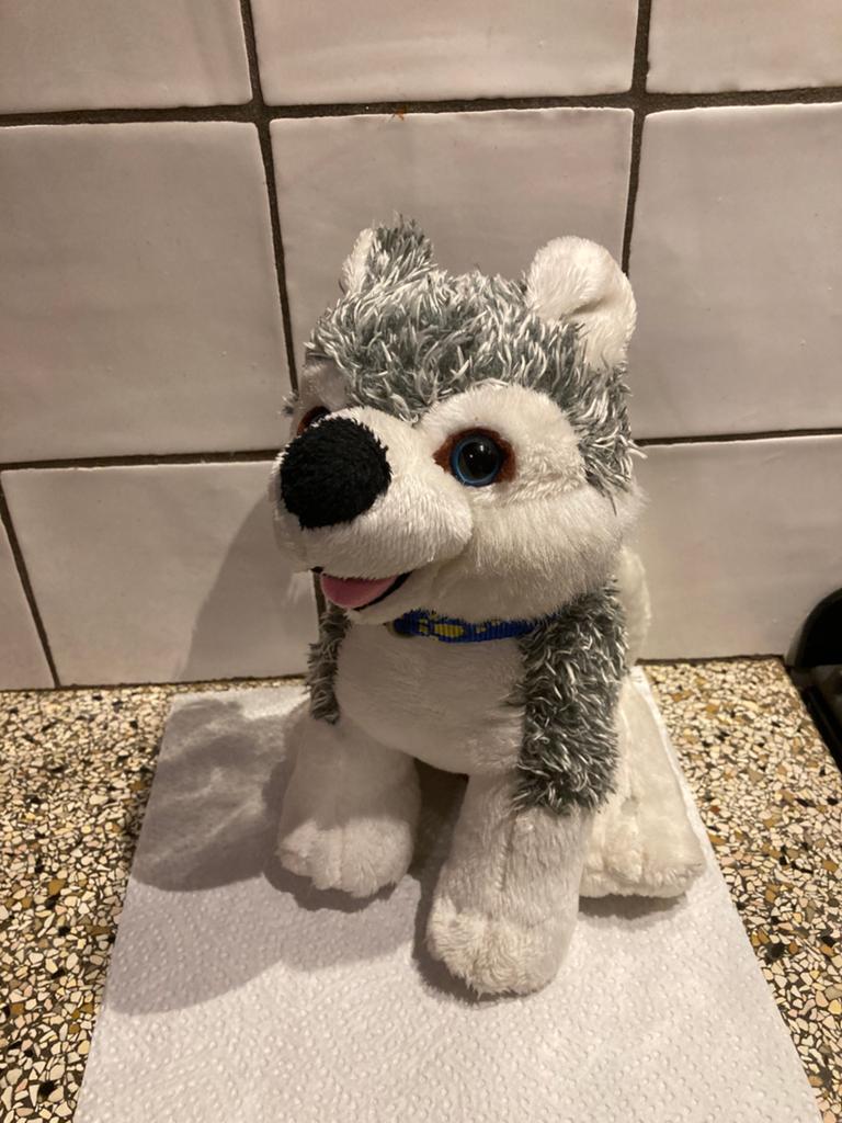 Leuke honden knuffel, Ophalen of Verzenden, Zo goed als nieuw, Hond