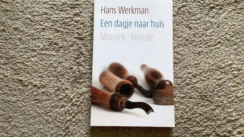 Hans Werkman - Een dagje naar huis, Boeken, Ophalen of Verzenden, Zo goed als nieuw, Hans Werkman