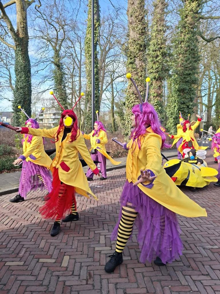 Fantastische loopgroep 20 personen, Ophalen, Zo goed als nieuw, Carnaval, Kleding