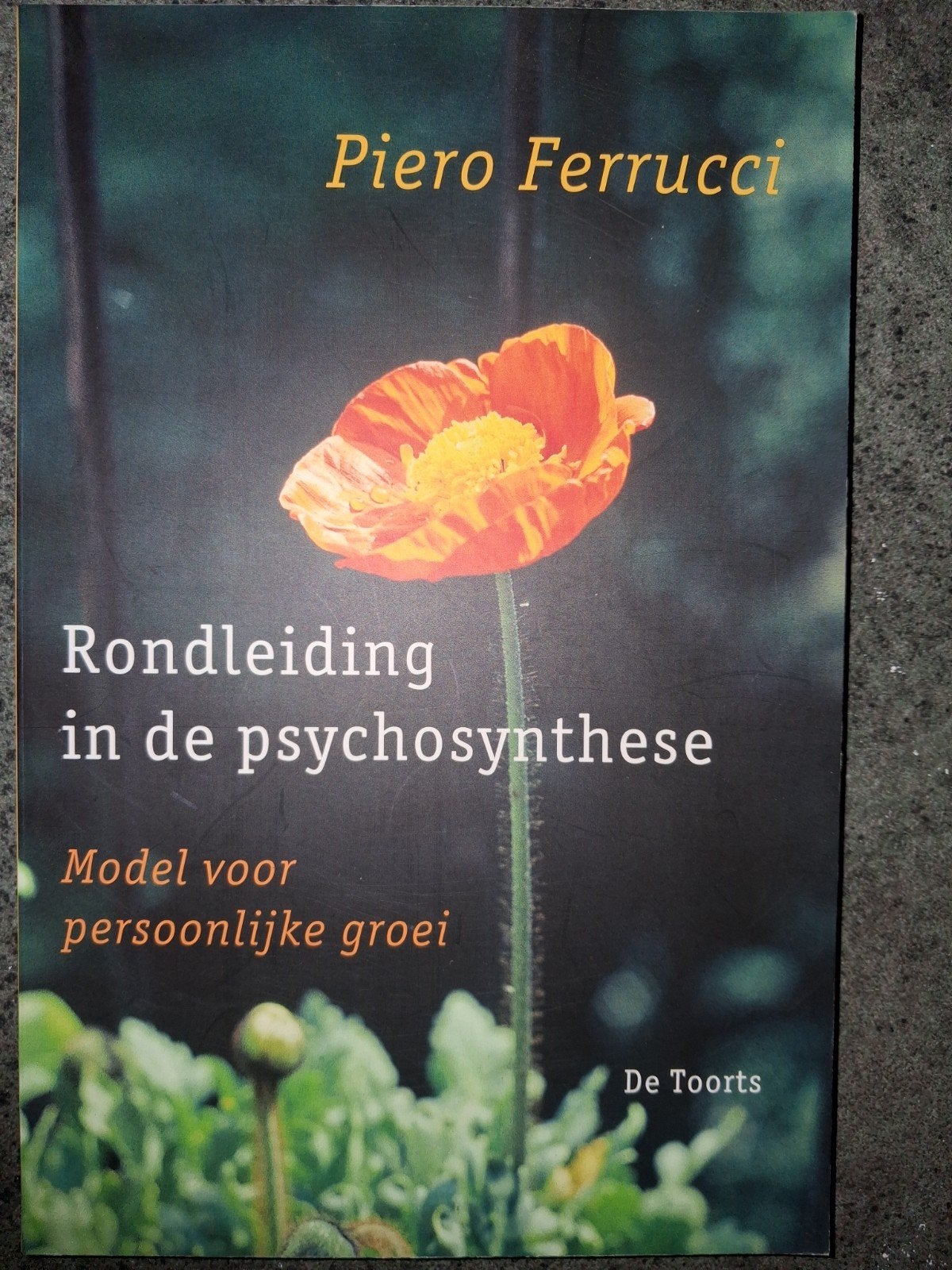 P. Ferrucci - Rondleiding in de psychosynthese, P. Ferrucci, Nieuw, Ophalen of Verzenden, Ontwikkelingspsychologie