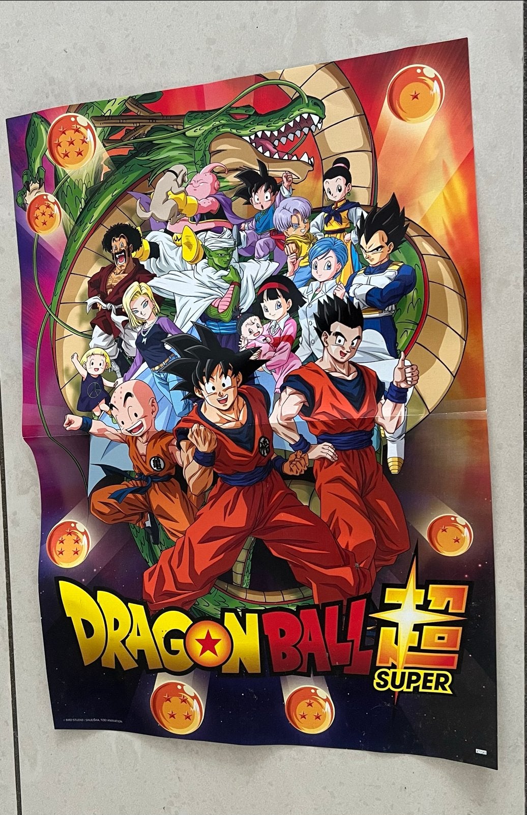 Dragon Ball Super Poster - Anime Collectible, Ophalen of Verzenden, Zo goed als nieuw