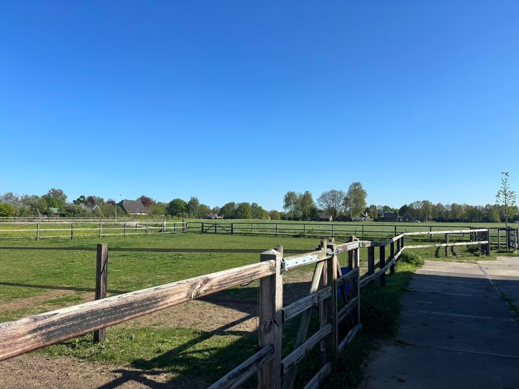 Didam - eigen beheer stal/wei te huur, Dieren en Toebehoren, Weidegang, 4 paarden of pony's of meer