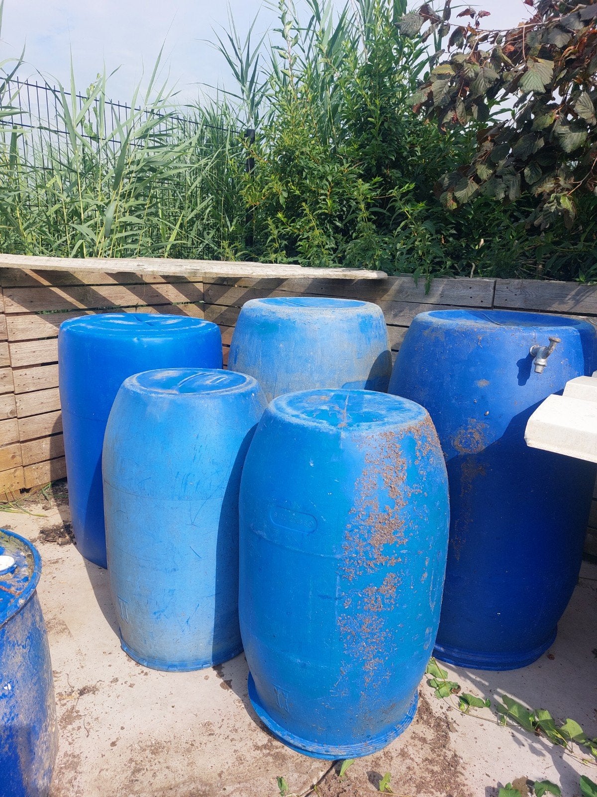 Regentonnen/Voertonnen en Broedtonnen voor Eendenfokken, 150 liter of meer, Ophalen, Gebruikt, Kunststof