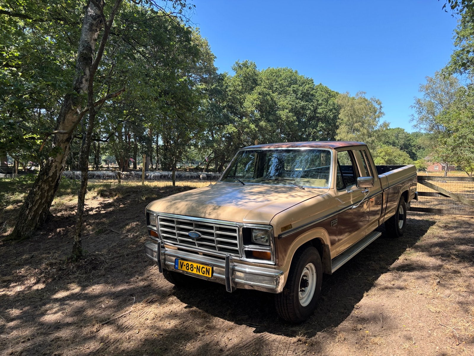 Ford 1985, Auto's, 7538 cc, Particulier, Ford, Geïmporteerd