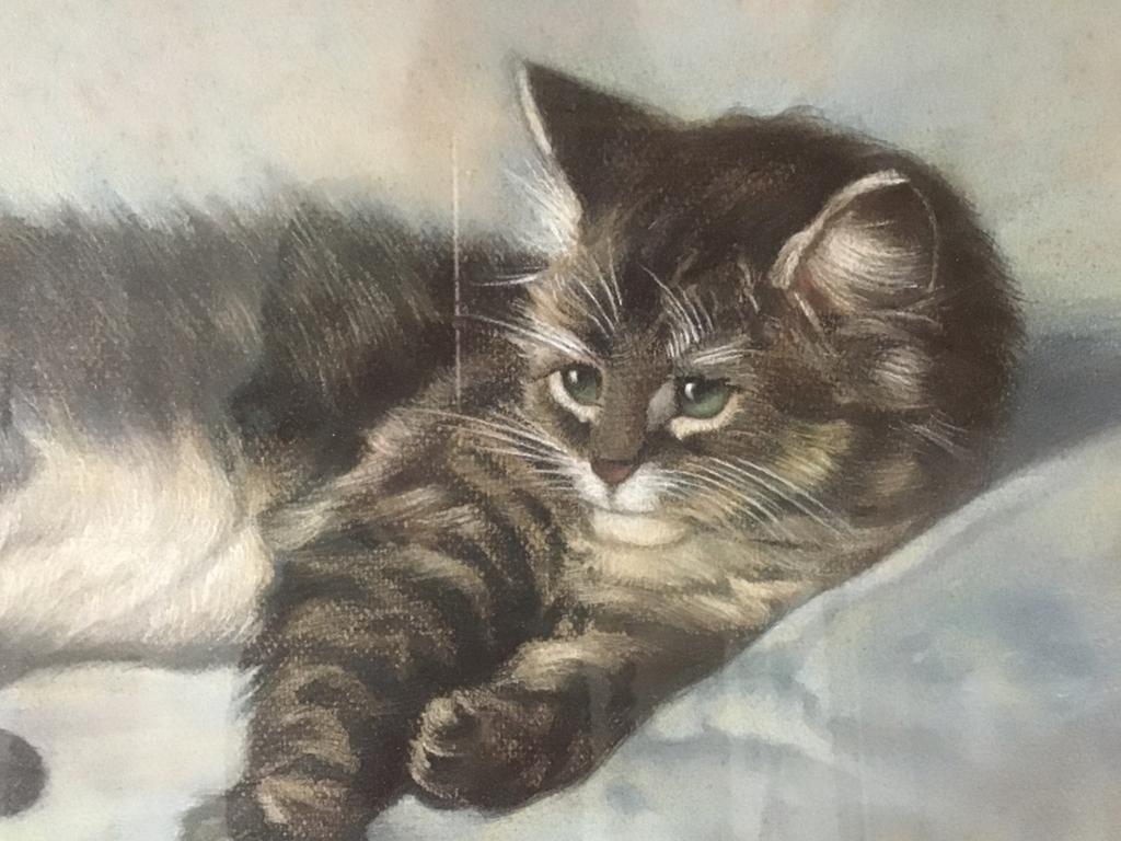 Pastel schilderij van main coone poes antiek brocante, Antiek en Kunst, Kunst | Schilderijen | Klassiek, Ophalen of Verzenden
