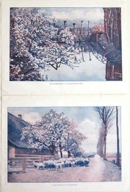 Mooi ingekleurde landschapjes. Lente 1928, Ophalen of Verzenden, Minder dan 50 cm, Schilderij