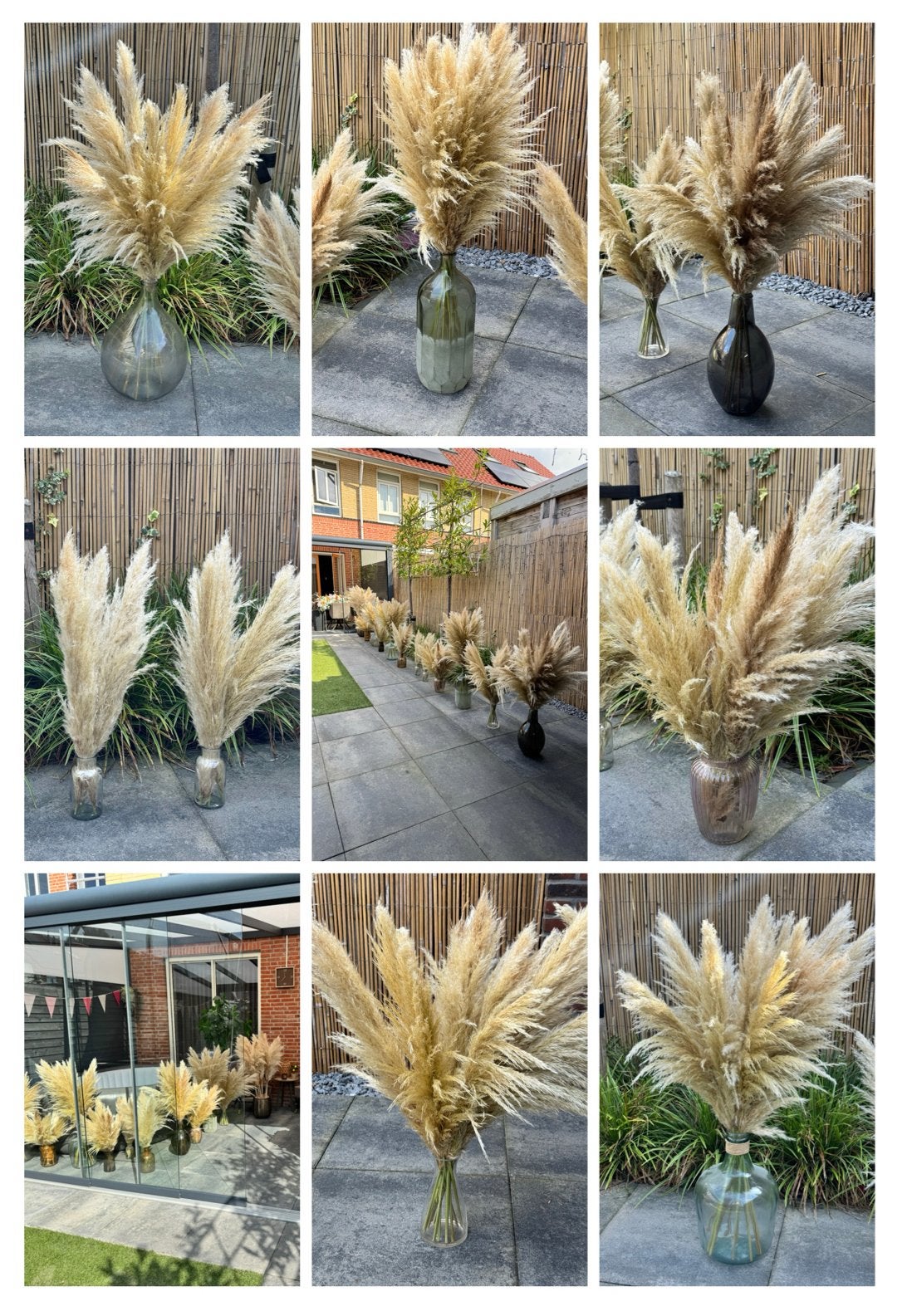 100x Gedroogde Pampas pluimen + vazen, Huis en Inrichting, Ophalen, Zo goed als nieuw