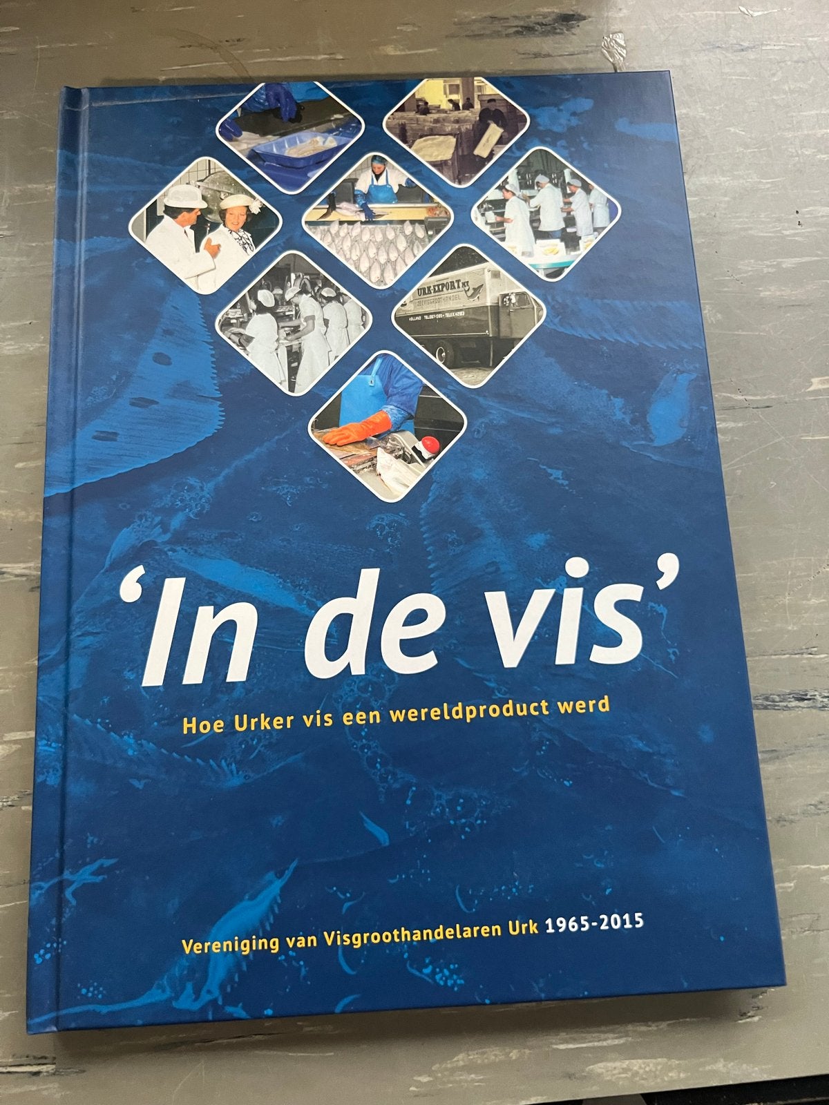 In de vis: Hoe Urker vis een wereldproduct werd, Ophalen of Verzenden, Zo goed als nieuw