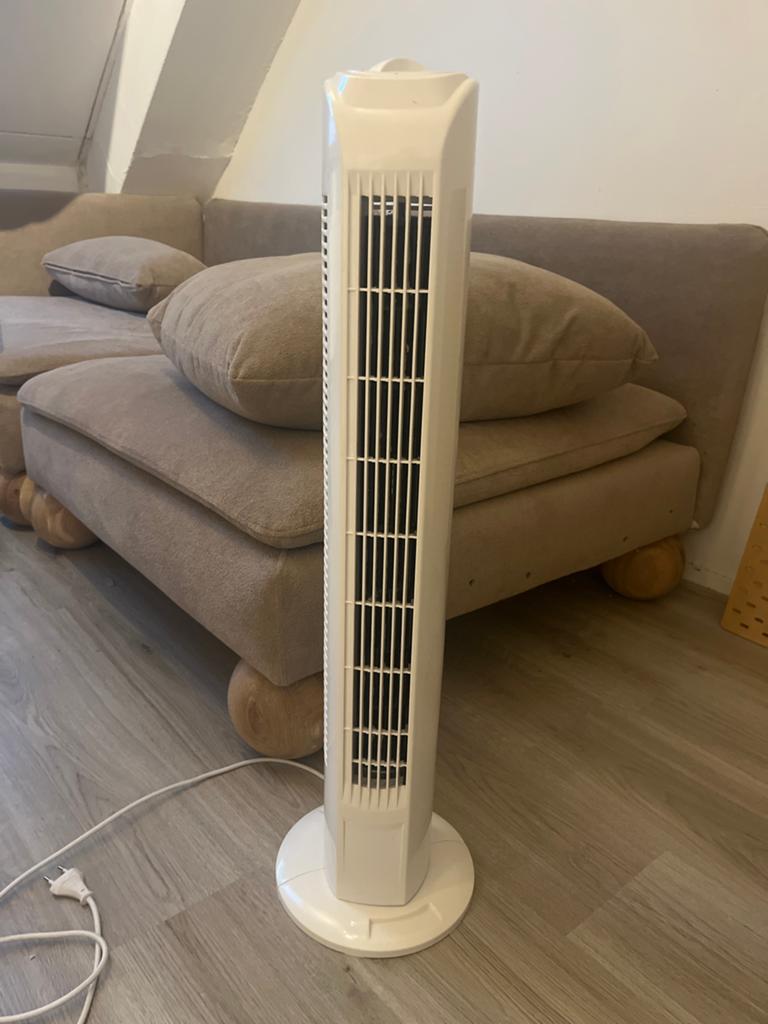 Torenventilator Action - Wit, Witgoed en Apparatuur, Ventilatoren, Ophalen, Gebruikt, Torenventilator