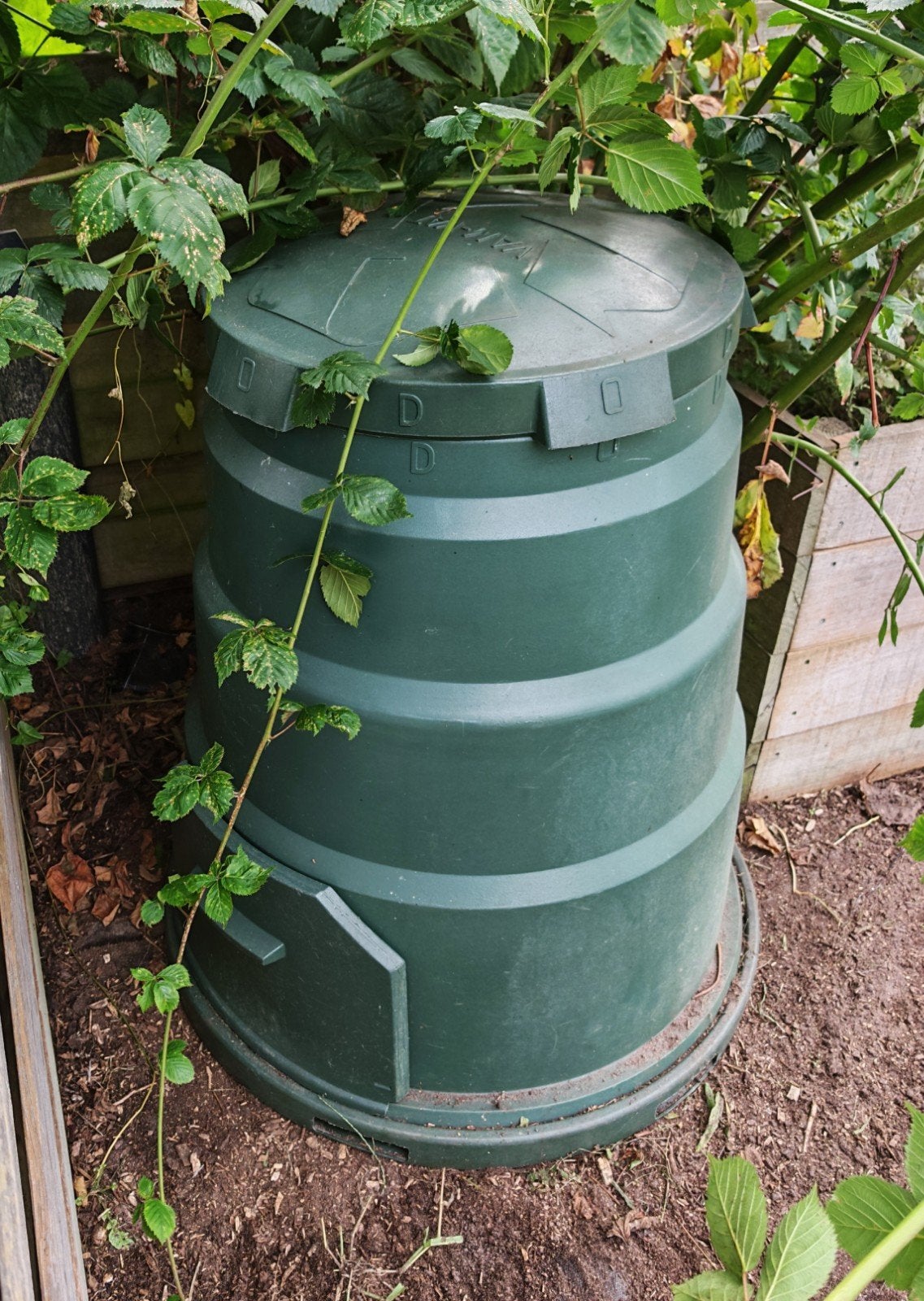 Compostbak  Groen, Tuin en Terras, Ophalen, Gebruikt, Kunststof