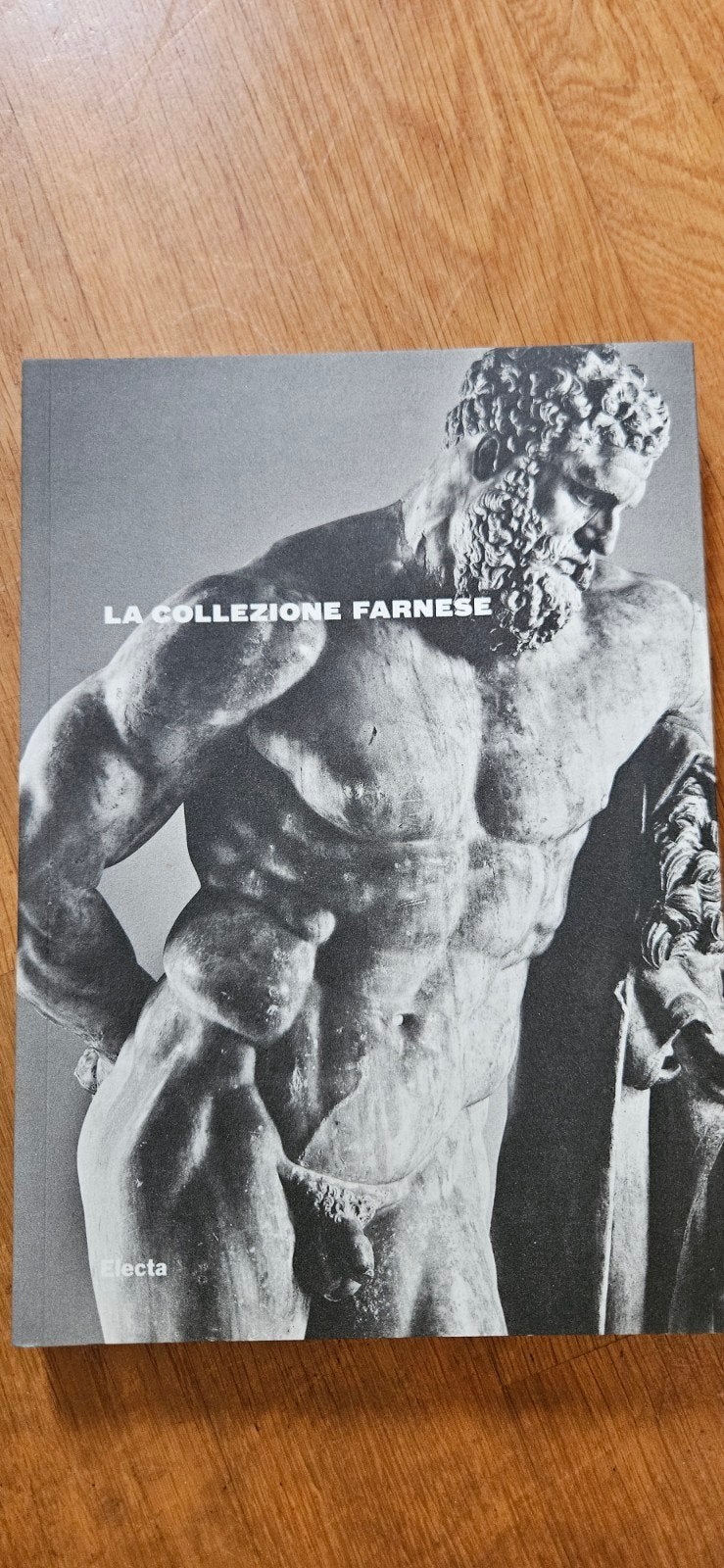 La Collezione Farnese - Kunstboek over Beeldhouwkunst, Boeken, Ophalen of Verzenden, Zo goed als nieuw, Beeldhouwkunst, Onbekend