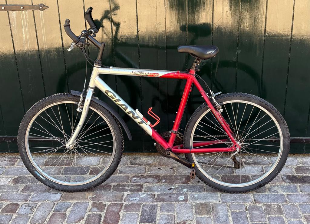 Mountainbike, 53 tot 57 cm, Ophalen, Gebruikt, Overige merken