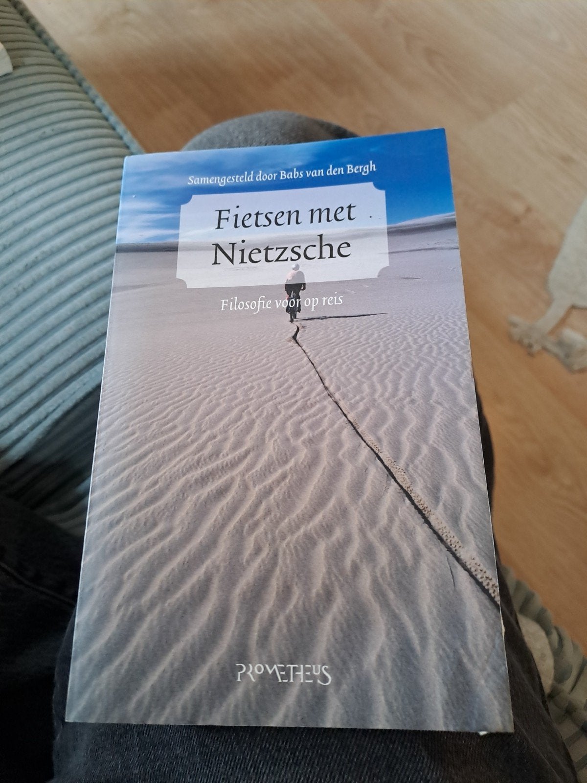 Fietsen met Nietzsche - Filosofie voor op reis, Ophalen of Verzenden, Zo goed als nieuw, Wijsbegeerte of Ethiek, Babs van den Bergh