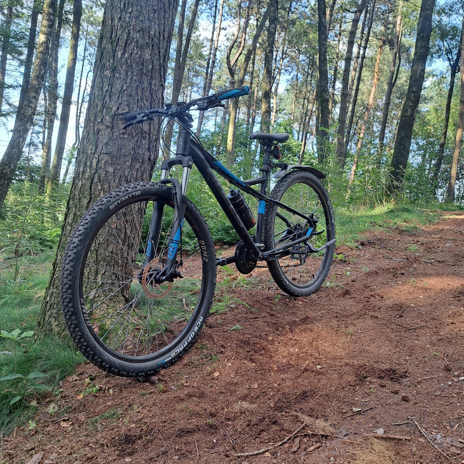 Bulls sharptail 1 mountainbike, Ophalen, 24 inch of meer, Bulls, Aluminium