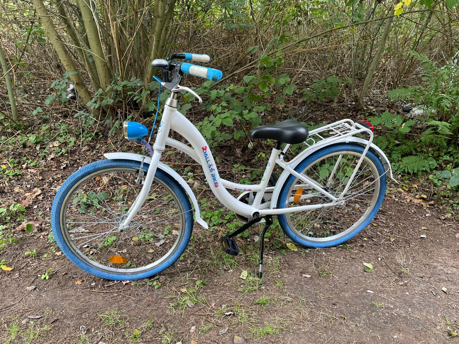 DALLAS BIKE meisjesfiets 24 inch framemaat 33 cm, Fietsen en Brommers, Ophalen, Terugtraprem, 24 inch, Handrem