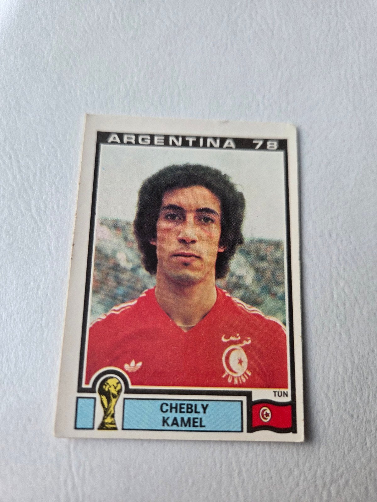 Panini WK 78, Ophalen of Verzenden, Zo goed als nieuw, Sticker
