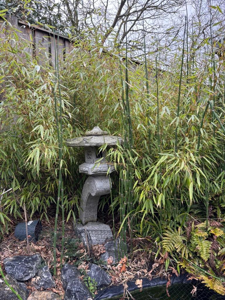 Japanse lantaarn van duits marmer, Tuin en Terras, Ophalen of Verzenden, Bloeit niet, Halfschaduw, Overige soorten