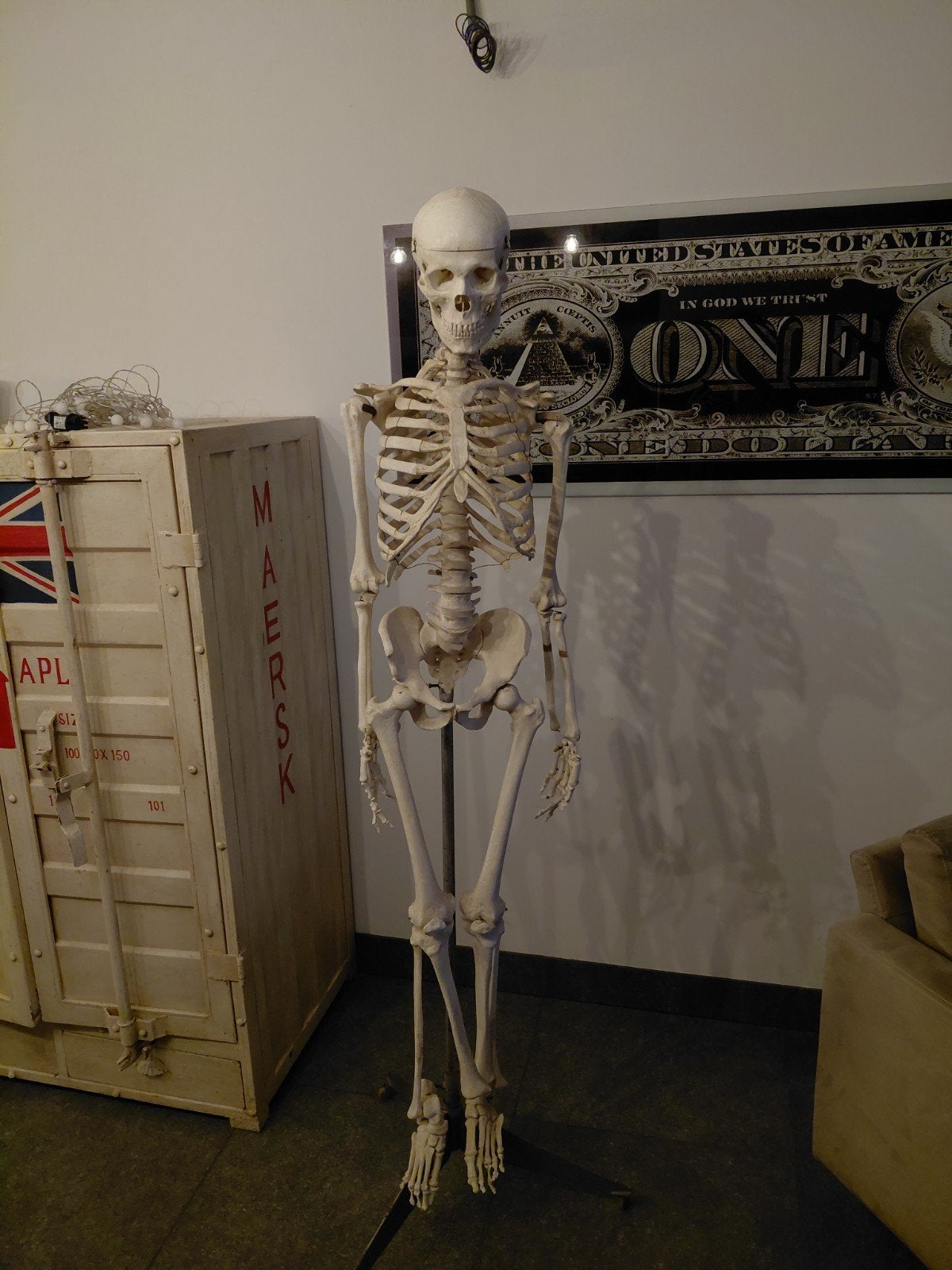 Anatomisch Skeletmodel - Levensgroot, Gebruikt, Niet van toepassing, Niet van toepassing, Ophalen of Verzenden