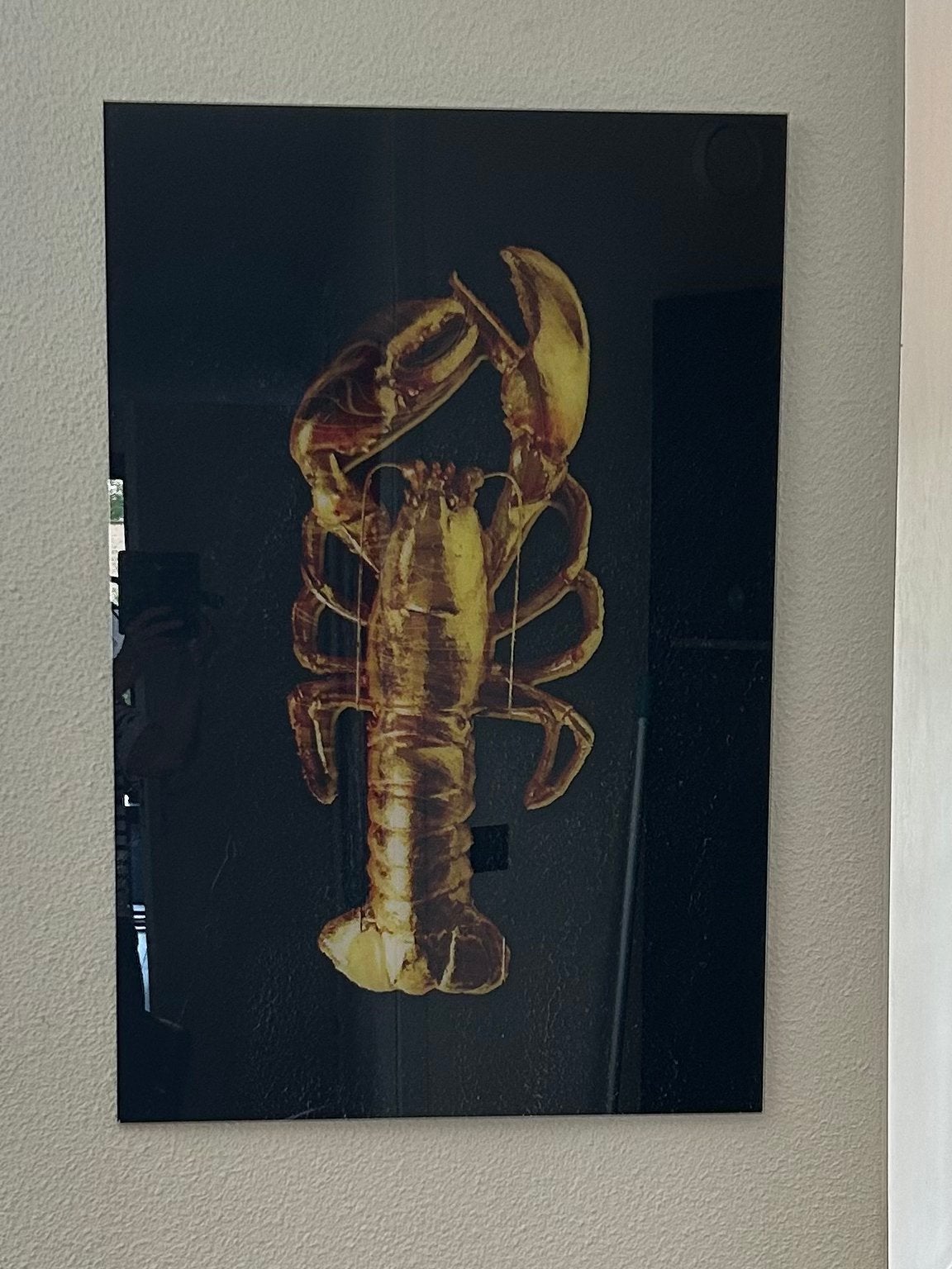 Gouden kreeft, Ophalen