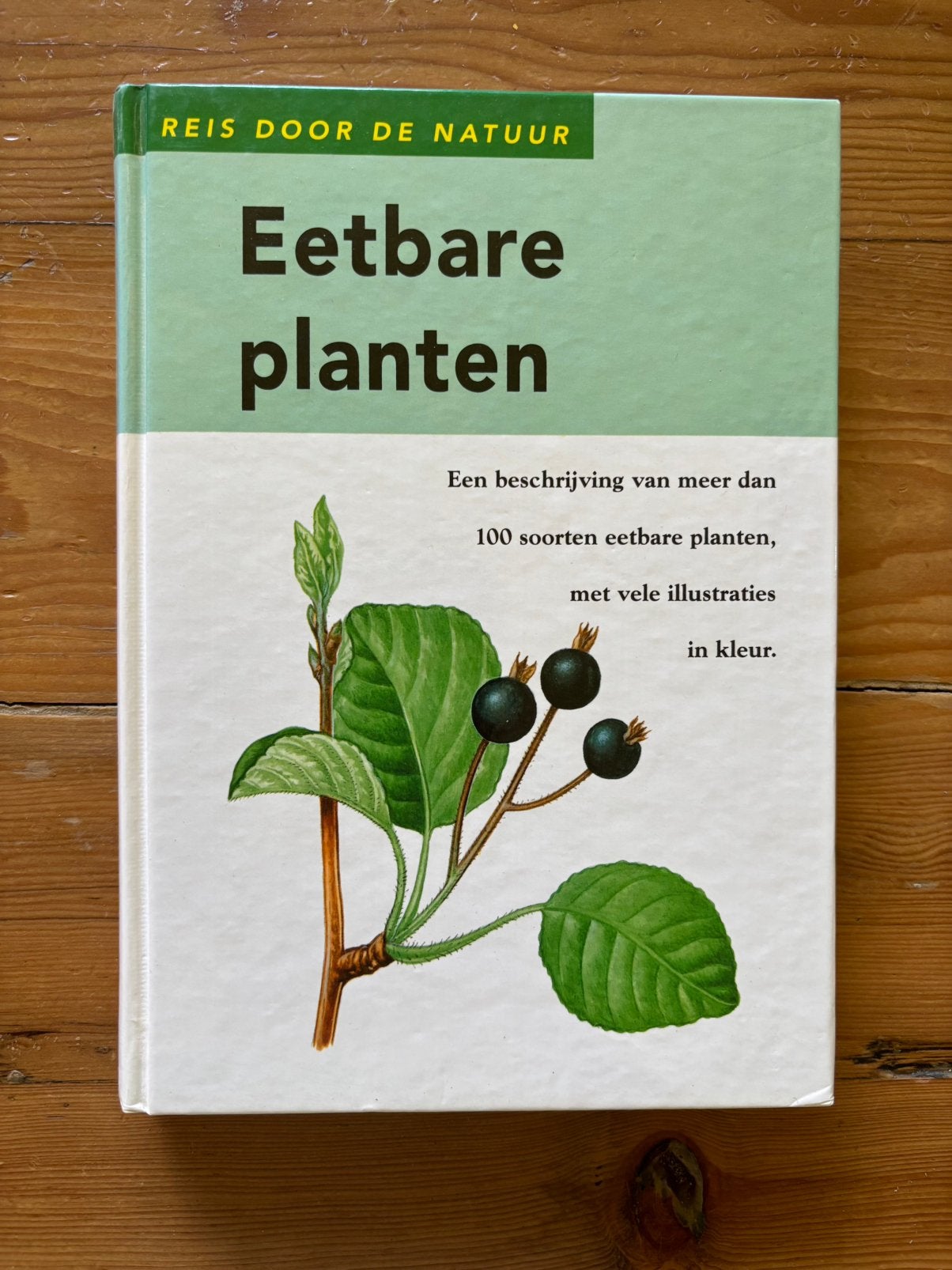 Eetbare planten - Dagmar Lánská, Ophalen of Verzenden, Gelezen, Nederland en België