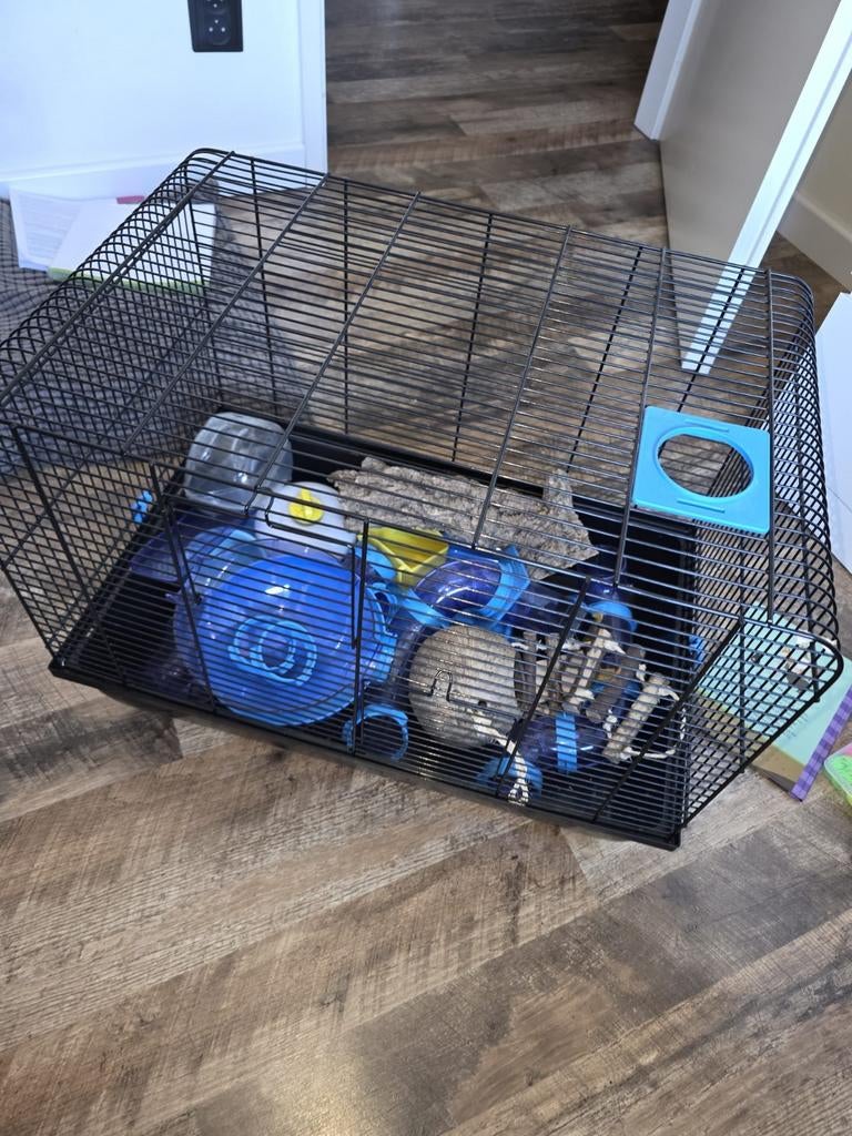 Knaagdierenkooi met toebehoren, Dieren en Toebehoren, Ophalen, Kooi, Hamster, Minder dan 60 cm