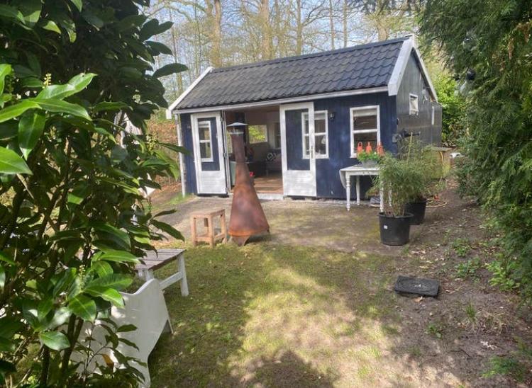 TE KOOP:chalet 35m2 Zuidlaren Drenthe, Recreatiepark, Tuin, 1 slaapkamer, Chalet, Bungalow of Caravan