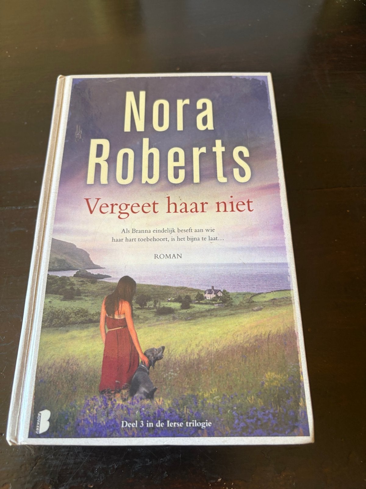 Nora Roberts - Vergeet haar niet (Deel 3 Ierse trilogie), Boeken, Ophalen of Verzenden, Gelezen, Nederland