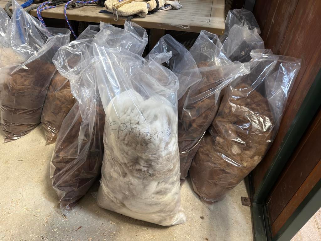 Alpaca wol spinnen breien kaarden vilten, Hobby en Vrije tijd, Ophalen of Verzenden, Nieuw, Spinwol