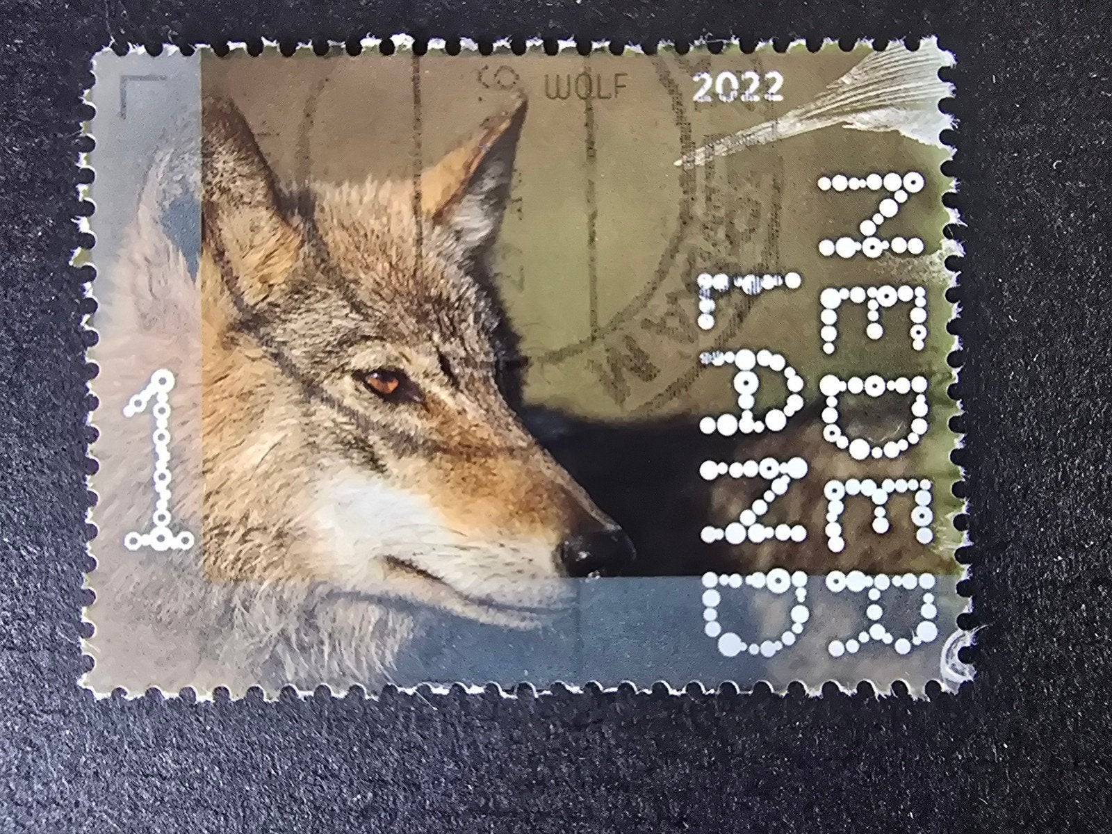 Beleef de Natuur 2022 - Wolf, Postzegels en Munten, Ophalen of Verzenden, Na 1940, Gestempeld