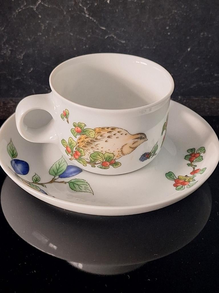 Kleine Hutschenreuther Tavola kop en schotel met vogelprint, Ophalen, Zo goed als nieuw, Overige stijlen, Kop(pen) en/of Schotel(s)