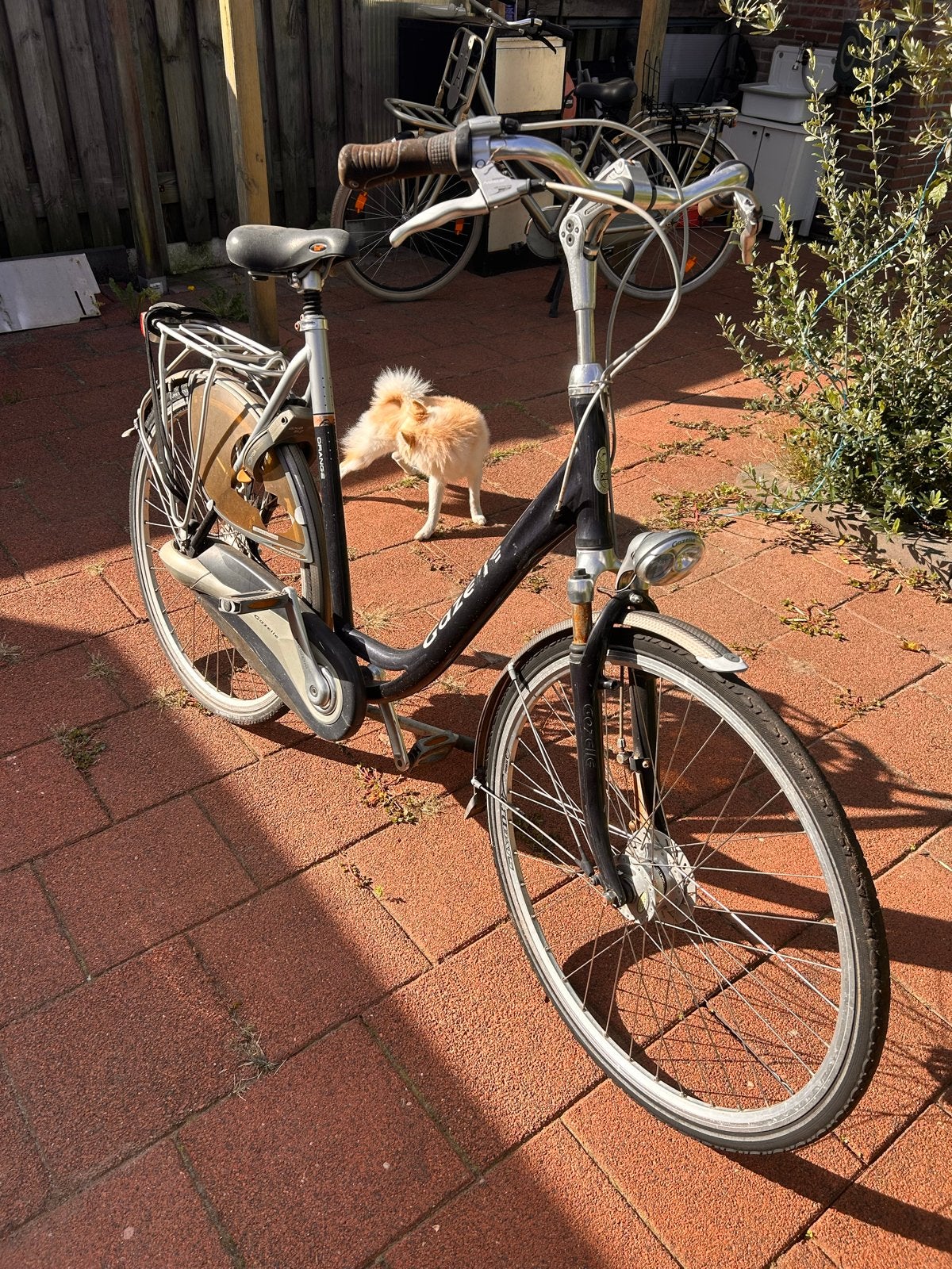 Gazelle Damesfiets - Goede Staat, Gebruikt, Velgrem, Versnellingen, Ophalen of Verzenden