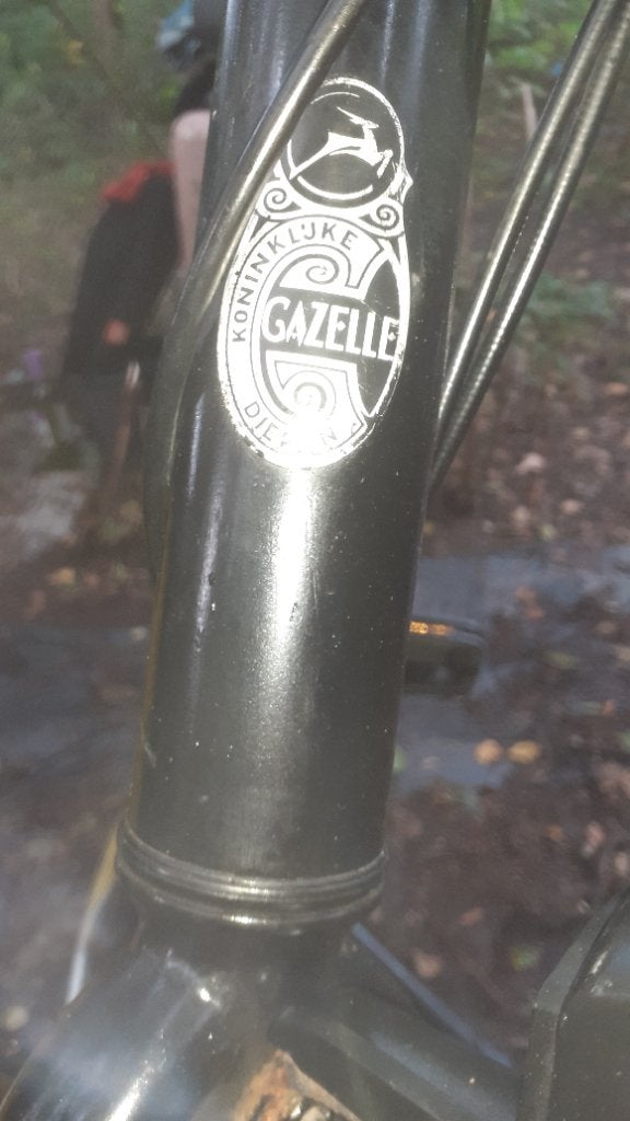 Bicecle gazelle, Fietsen en Brommers, Terugtraprem, Ophalen of Verzenden, Zo goed als nieuw, 57 tot 61 cm