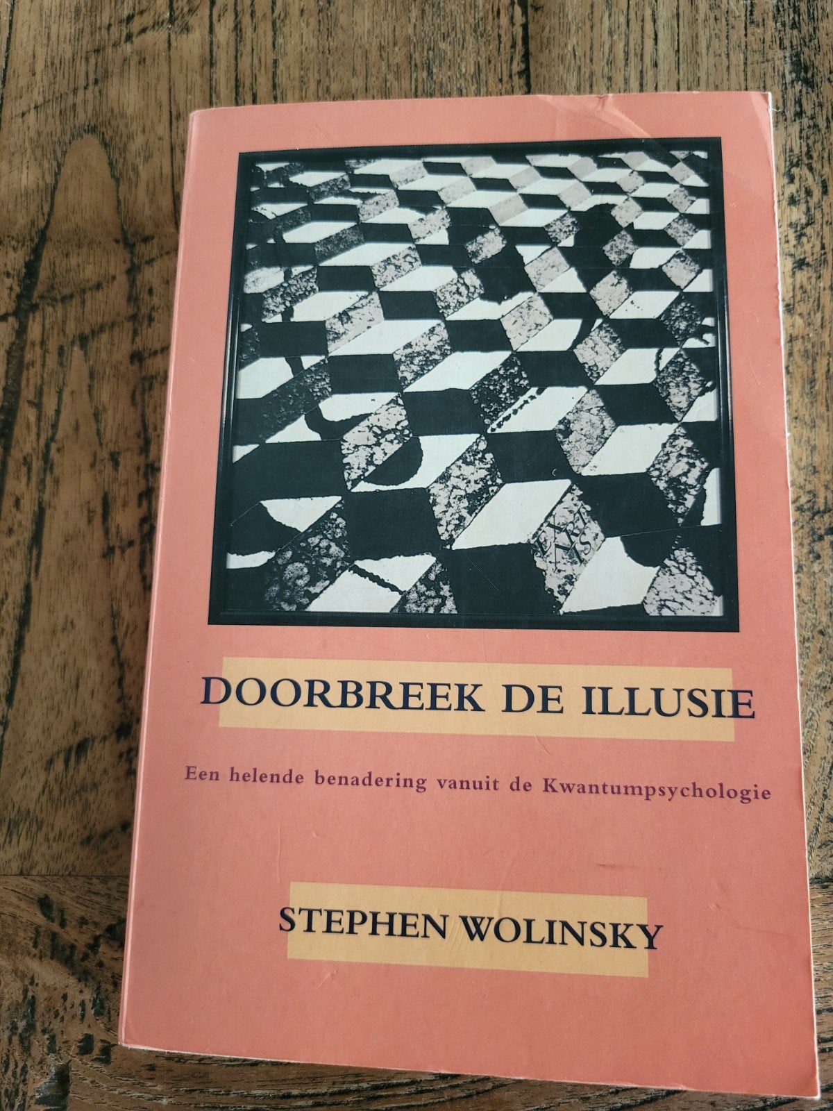 Doorbreken de Illusie - Stephen Wolinsky (goede staat), Ophalen of Verzenden