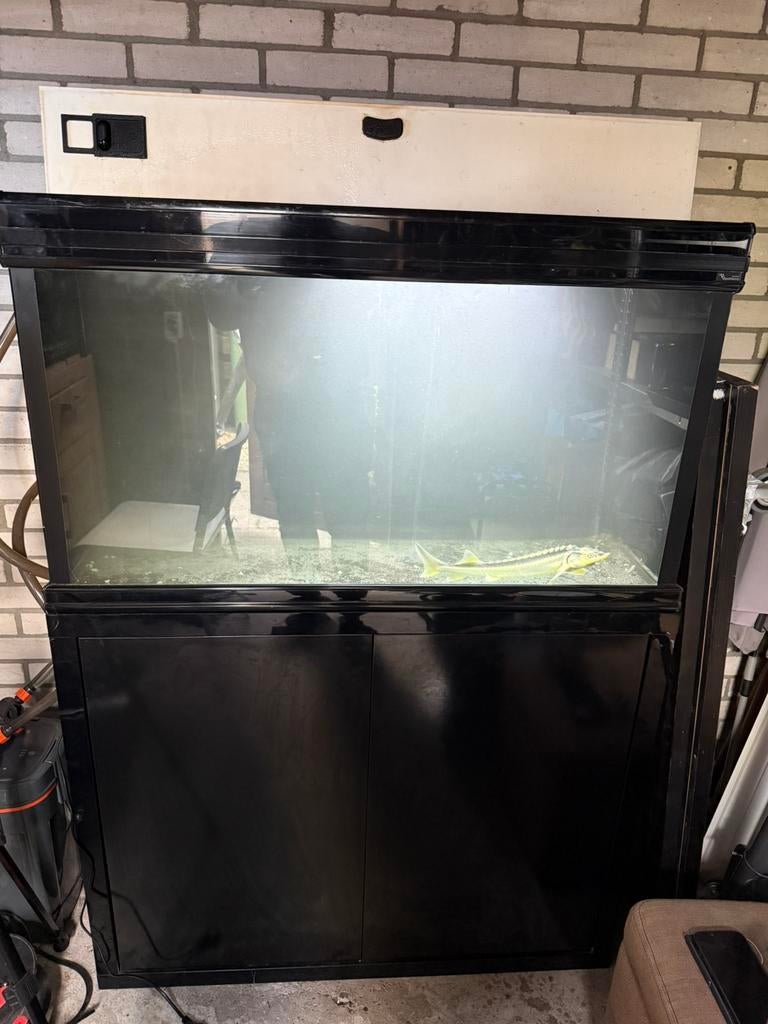 Aqualantis 250L Aquarium met kast ! Vandaag 100€, Ophalen, Gebruikt, Leeg aquarium, Aquatlantis