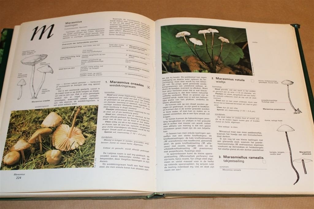 Larousse Paddestoelen Encyclopedie — Rijk Geïllustreerd, Ophalen of Verzenden, Gelezen, Vogels