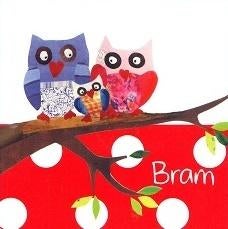 Bram, Ophalen of Verzenden, 2000 tot heden, Geboortekaartje