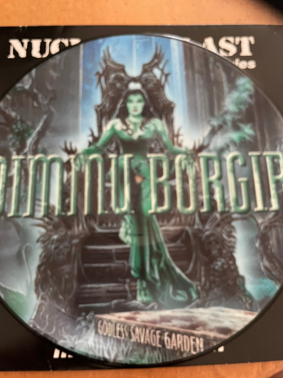 Dimmu borgir - godless savage pdisc, Cd's en Dvd's, Vinyl | Hardrock en Metal, Ophalen of Verzenden, Zo goed als nieuw