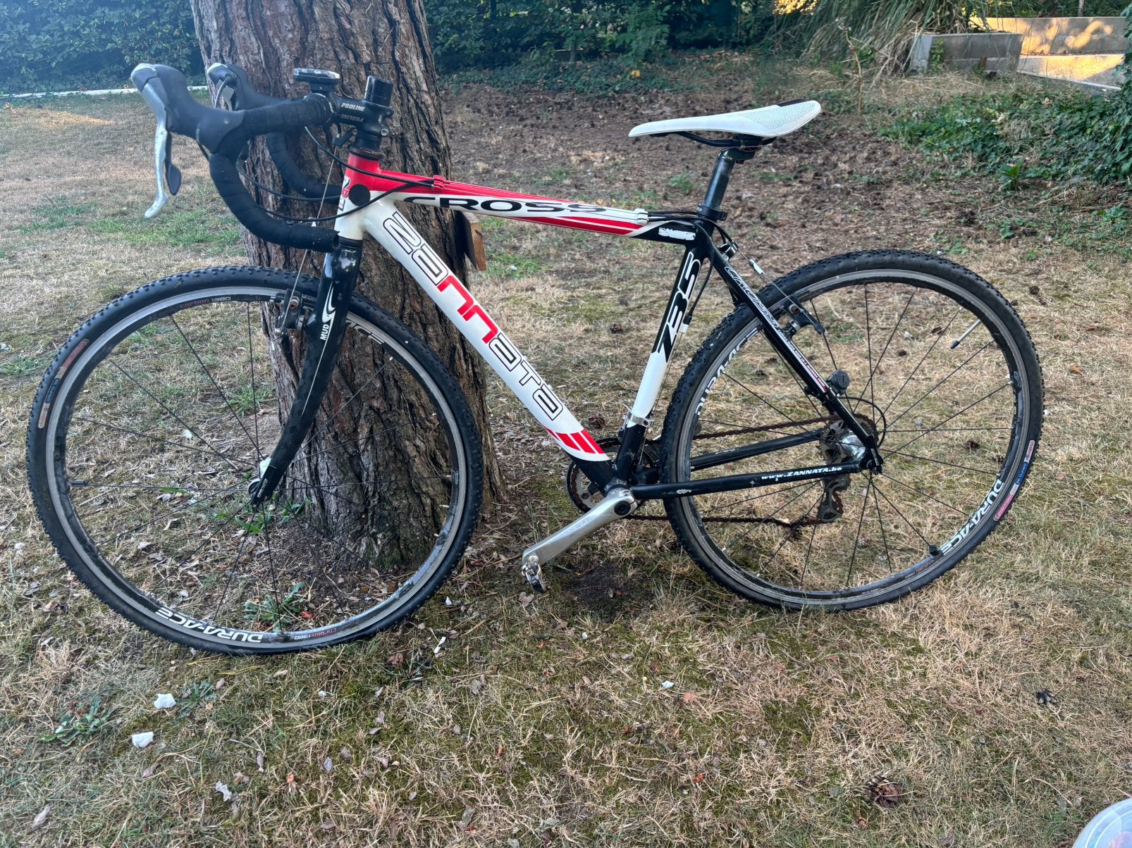 Zannata cyclocrossfiets - heeft onderhoud nodig, Gebruikt, Carbon, Minder dan 49 cm, Meer dan 20 versnellingen