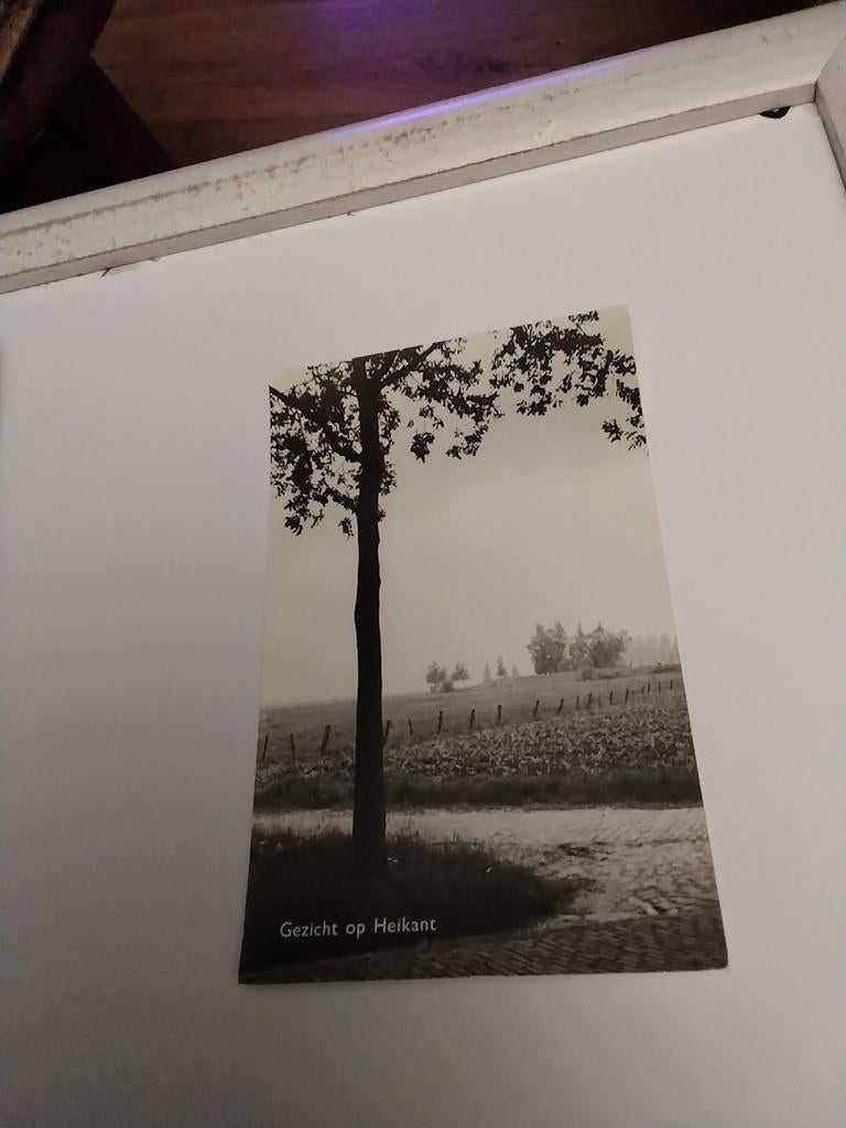 GEZICHT. OP HEIKANT, Ophalen of Verzenden, Voor 1920, Zuid-Holland