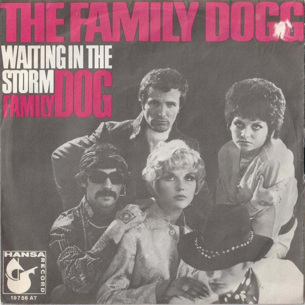 Family Dogg: Waiting in the storm (Bee Gees cover), Gebruikt, Ophalen of Verzenden, Fotohoes, Pop