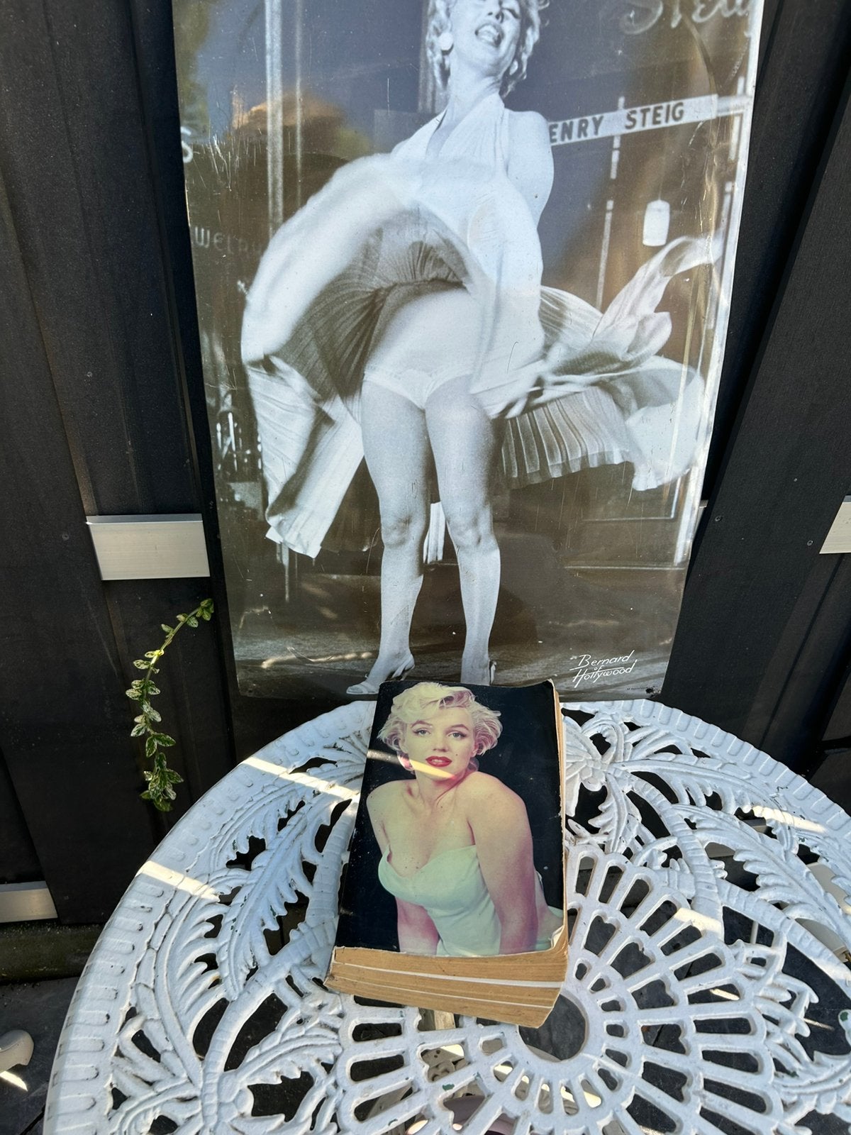 Poster en boek van marilyn Monroe, Ophalen of Verzenden