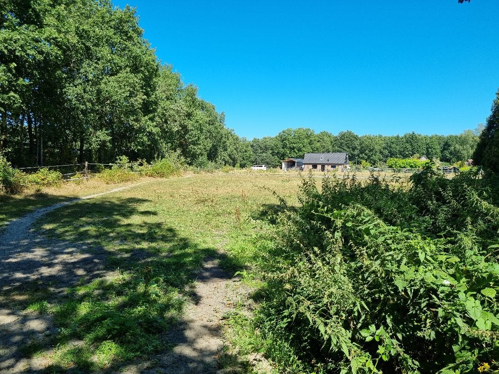 Vakantiestalling op de Veluwe, Dieren en Toebehoren, Stalling, 4 paarden of pony's of meer