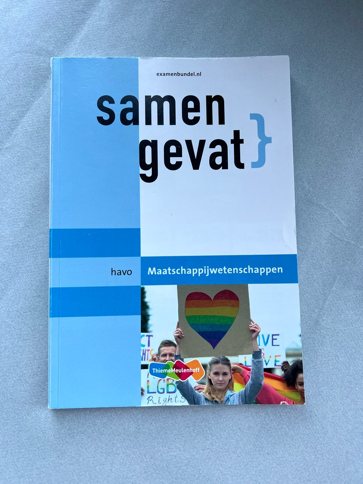 Samengevat Maatschappijwetenschappen HAVO Examenbundel, Boeken, Ophalen of Verzenden, Zo goed als nieuw, HAVO, Maatschappijleer