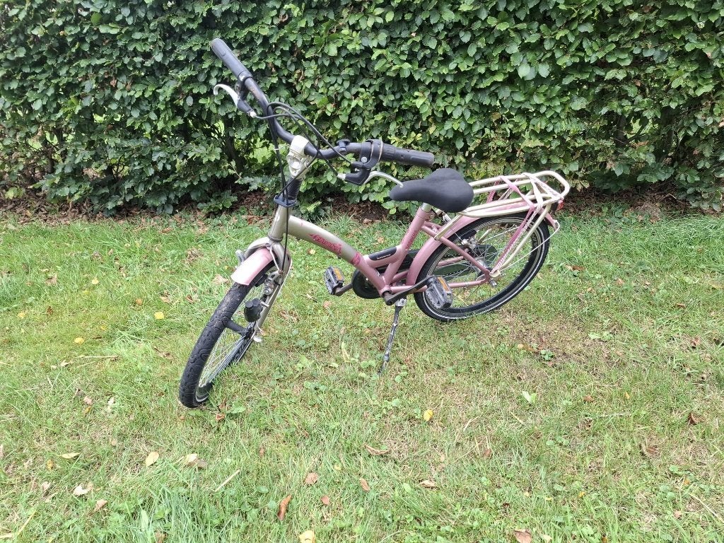meisjesfiets 20 inch Batavus, Ophalen, Gebruikt, Batavus, Terugtraprem