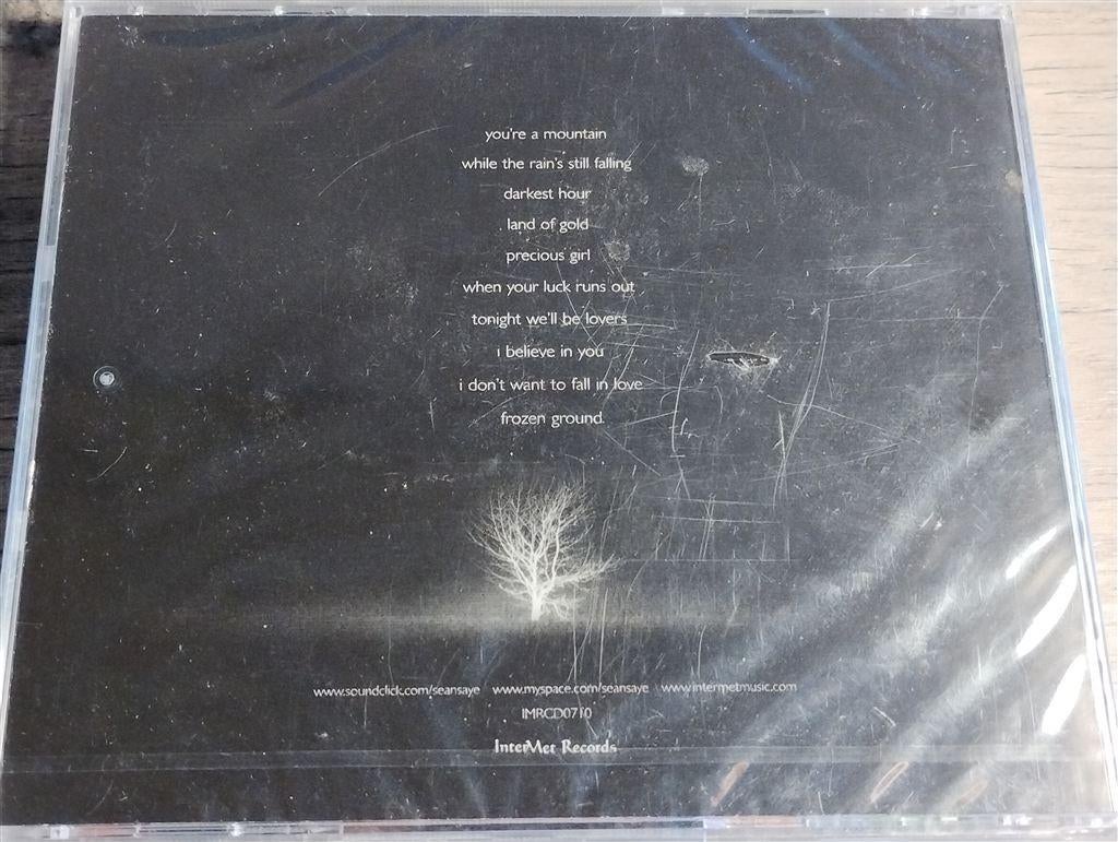 Sean Saye - Frozen Ground, Ophalen of Verzenden, Zo goed als nieuw, Poprock