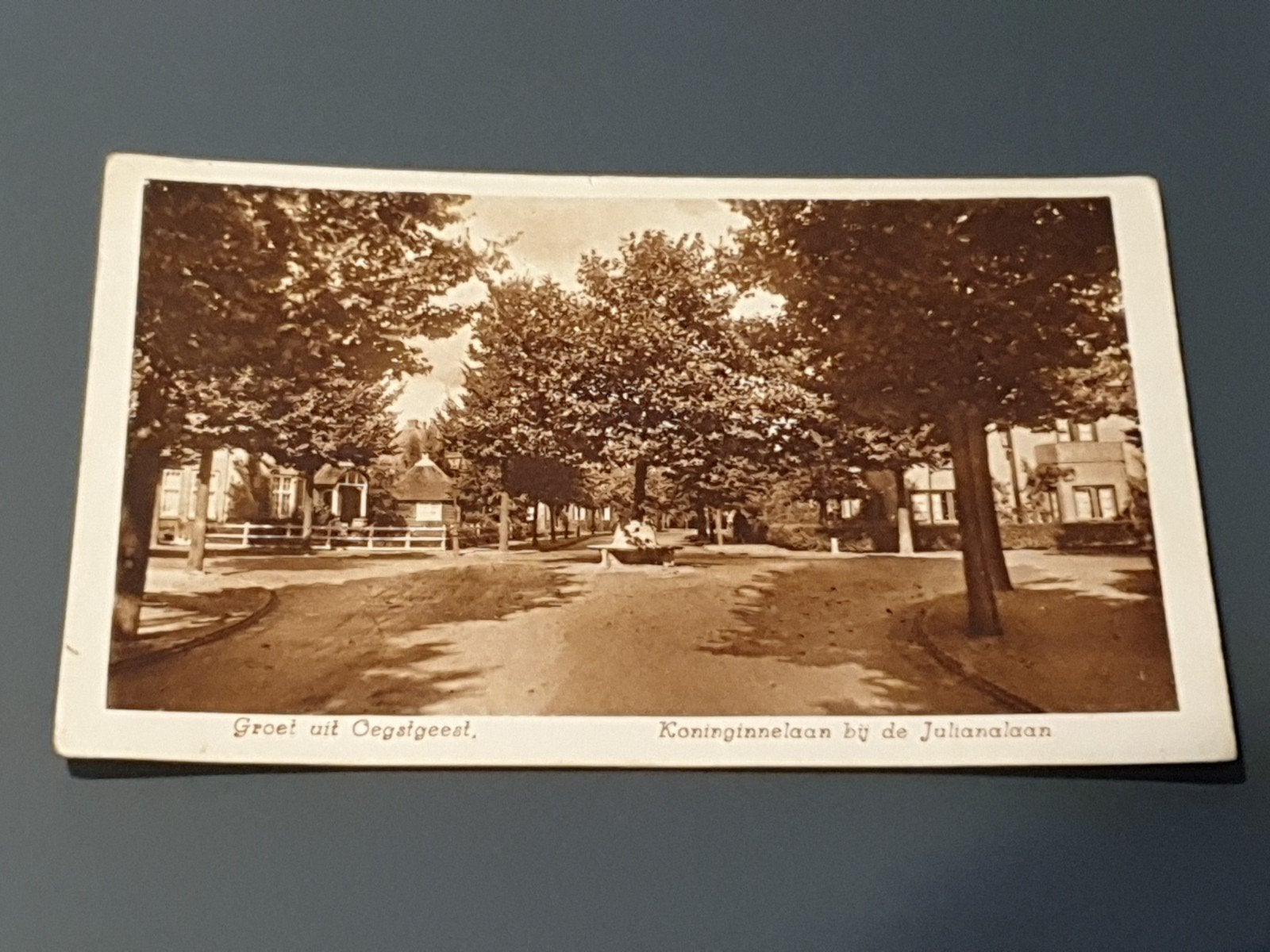 Groet uit Oegstgeest, Koninginnedag bij de Julianalaan (30), Ophalen of Verzenden, Voor 1920, Zuid-Holland