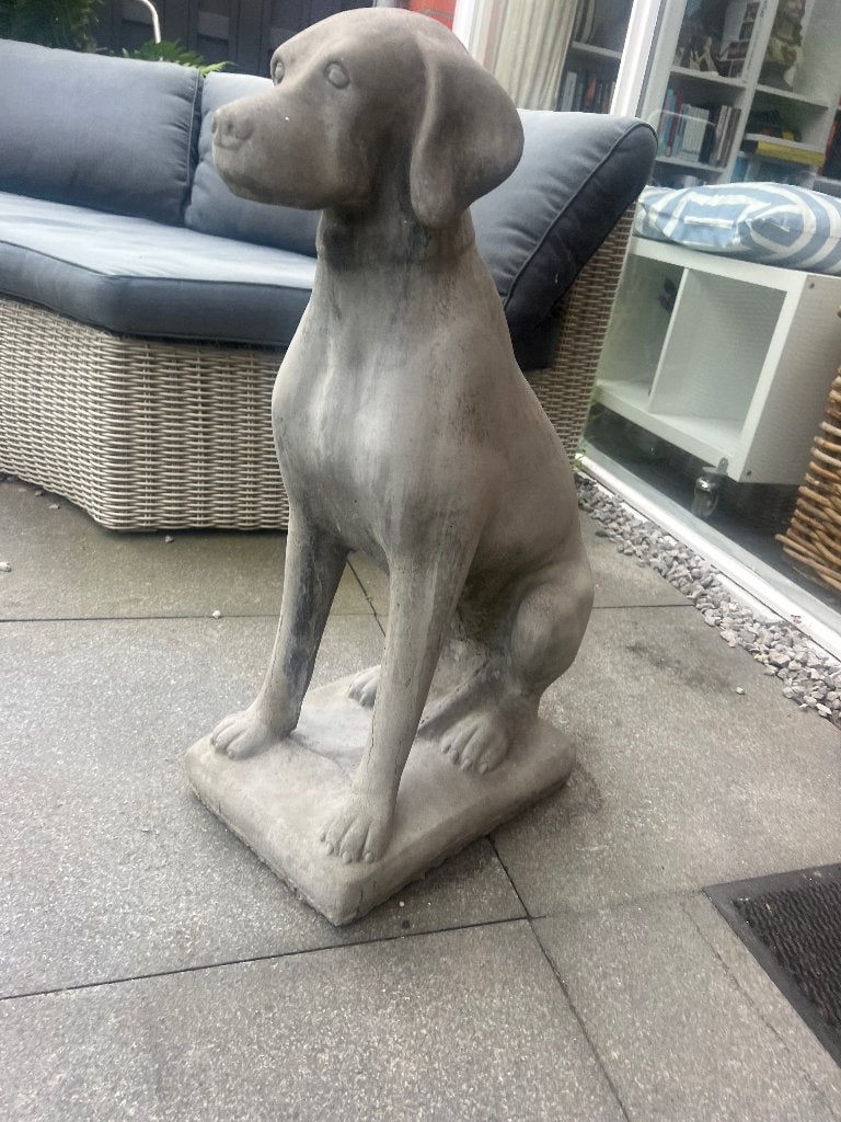 Mooie grote betonnen hond, Ophalen, Overige onderwerpen, 50 - 100 cm, Overige materialen