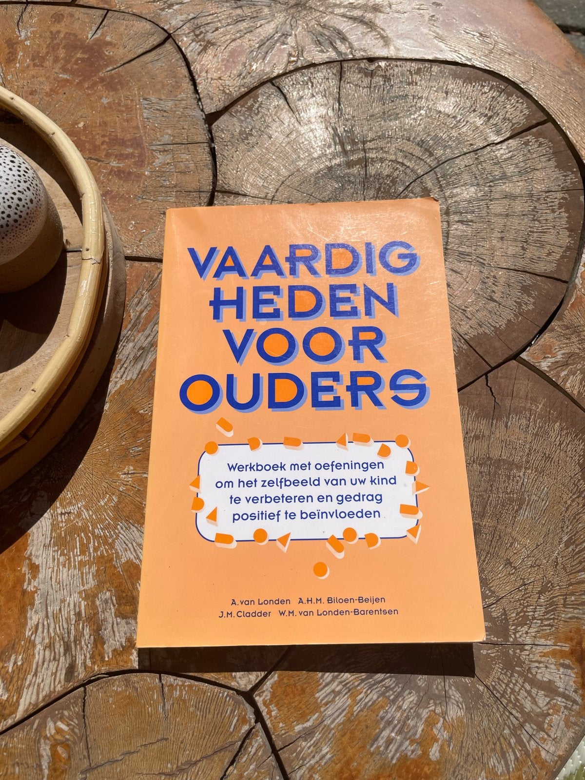 Vaardigheden voor Ouders - Werkboek Zelfbeeld & Gedrag, Ophalen of Verzenden, Zo goed als nieuw, Opvoeding vanaf 10 jaar