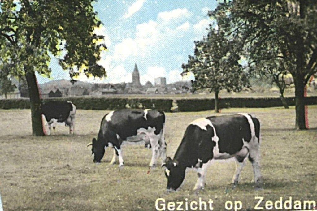 939711 Zeddam  1965 _Nette oude kaart Gelopen met postzegel, Ophalen of Verzenden, Voor 1920, Gelopen, Gelderland
