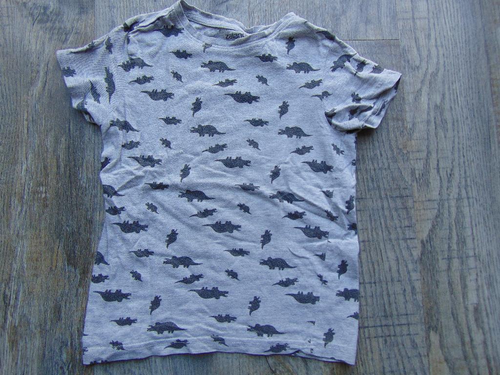 Zalando T-shirt grijs dino's maat 98 shirt korte mouwen, Zalando, Ophalen of Verzenden, Zo goed als nieuw, Shirt of Longsleeve